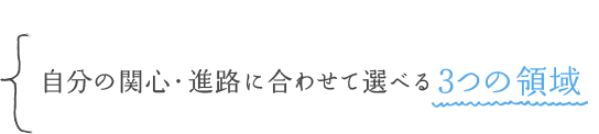 自分の関心・進路に合わせて選べる3つの領域